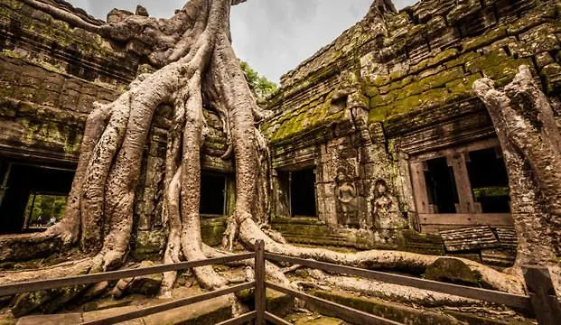Bed & Breakfast Guide Francophone A Angkor Wat